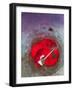 Key in Water-Tim Kahane-Framed Photographic Print