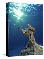 Key Largo Marine Sanctuary, Florida-Bradley Ireland-Stretched Canvas