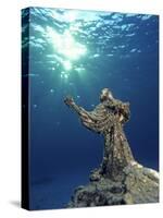 Key Largo Marine Sanctuary, Florida-Bradley Ireland-Stretched Canvas