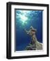 Key Largo Marine Sanctuary, Florida-Bradley Ireland-Framed Photographic Print