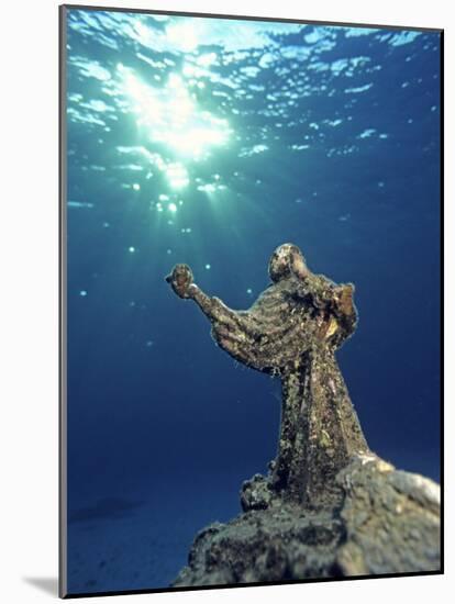 Key Largo Marine Sanctuary, Florida-Bradley Ireland-Mounted Photographic Print