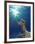 Key Largo Marine Sanctuary, Florida-Bradley Ireland-Framed Photographic Print