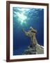 Key Largo Marine Sanctuary, Florida-Bradley Ireland-Framed Photographic Print