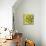 Key Lime Rosette I-Chariklia Zarris-Mounted Art Print displayed on a wall