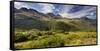 Key Summit, Fiordland National Park, Southland, South Island, New Zealand-Rainer Mirau-Framed Stretched Canvas