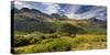 Key Summit, Fiordland National Park, Southland, South Island, New Zealand-Rainer Mirau-Stretched Canvas