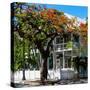 Key West Architecture - Heritage Structures in Old Town Key West - Florida-Philippe Hugonnard-Stretched Canvas