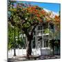 Key West Architecture - Heritage Structures in Old Town Key West - Florida-Philippe Hugonnard-Mounted Photographic Print