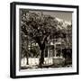 Key West Architecture - Heritage Structures in Old Town Key West - Florida-Philippe Hugonnard-Framed Photographic Print