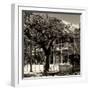 Key West Architecture - Heritage Structures in Old Town Key West - Florida-Philippe Hugonnard-Framed Photographic Print