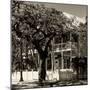 Key West Architecture - Heritage Structures in Old Town Key West - Florida-Philippe Hugonnard-Mounted Photographic Print