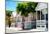 Key West Architecture - Heritage Structures in Old Town Key West - Florida-Philippe Hugonnard-Mounted Photographic Print