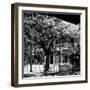 Key West Architecture - Heritage Structures in Old Town Key West - Florida-Philippe Hugonnard-Framed Photographic Print