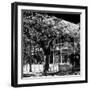 Key West Architecture - Heritage Structures in Old Town Key West - Florida-Philippe Hugonnard-Framed Photographic Print