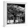 Key West Architecture - Heritage Structures in Old Town Key West - Florida-Philippe Hugonnard-Framed Photographic Print