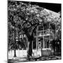 Key West Architecture - Heritage Structures in Old Town Key West - Florida-Philippe Hugonnard-Mounted Photographic Print