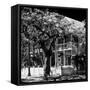 Key West Architecture - Heritage Structures in Old Town Key West - Florida-Philippe Hugonnard-Framed Stretched Canvas