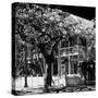 Key West Architecture - Heritage Structures in Old Town Key West - Florida-Philippe Hugonnard-Stretched Canvas