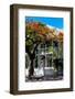 Key West Architecture - Heritage Structures in Old Town Key West - Florida-Philippe Hugonnard-Framed Photographic Print