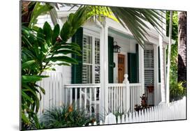 Key West Architecture - Heritage Structures in Old Town Key West - Florida-Philippe Hugonnard-Mounted Photographic Print