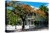 Key West Architecture - Heritage Structures in Old Town Key West - Florida-Philippe Hugonnard-Stretched Canvas