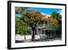 Key West Architecture - Heritage Structures in Old Town Key West - Florida-Philippe Hugonnard-Framed Photographic Print