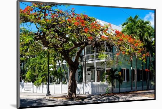 Key West Architecture - Heritage Structures in Old Town Key West - Florida-Philippe Hugonnard-Mounted Photographic Print