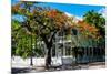 Key West Architecture - Heritage Structures in Old Town Key West - Florida-Philippe Hugonnard-Mounted Photographic Print