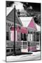 Key West Architecture - The Pink House - Florida-Philippe Hugonnard-Mounted Photographic Print