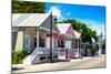 Key West Architecture - The Pink House - Florida-Philippe Hugonnard-Mounted Photographic Print