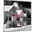 Key West Architecture - The Pink House - Florida-Philippe Hugonnard-Mounted Photographic Print