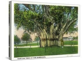 Key West, Florida - Barracks Banyan Tree Scene-Lantern Press-Stretched Canvas