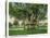 Key West, Florida - Barracks Banyan Tree Scene-Lantern Press-Stretched Canvas