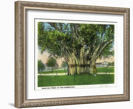 Key West, Florida - Barracks Banyan Tree Scene-Lantern Press-Framed Art Print