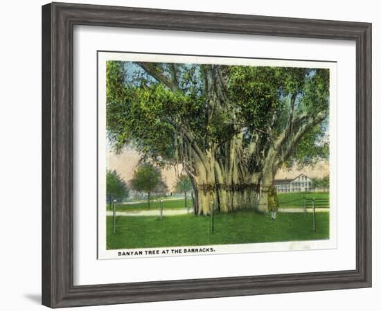 Key West, Florida - Barracks Banyan Tree Scene-Lantern Press-Framed Art Print
