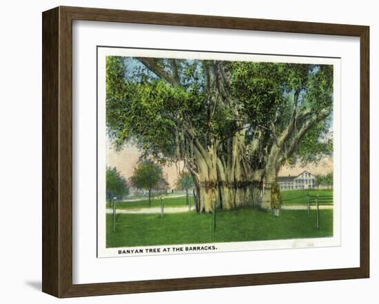 Key West, Florida - Barracks Banyan Tree Scene-Lantern Press-Framed Art Print