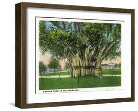 Key West, Florida - Barracks Banyan Tree Scene-Lantern Press-Framed Art Print