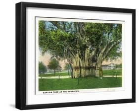 Key West, Florida - Barracks Banyan Tree Scene-Lantern Press-Framed Art Print