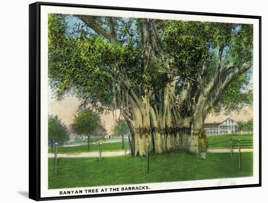 Key West, Florida - Barracks Banyan Tree Scene-Lantern Press-Framed Stretched Canvas