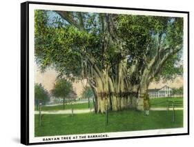 Key West, Florida - Barracks Banyan Tree Scene-Lantern Press-Framed Stretched Canvas