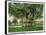 Key West, Florida - Barracks Banyan Tree Scene-Lantern Press-Framed Stretched Canvas