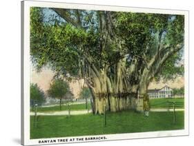 Key West, Florida - Barracks Banyan Tree Scene-Lantern Press-Stretched Canvas