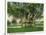 Key West, Florida - Barracks Banyan Tree Scene-Lantern Press-Stretched Canvas