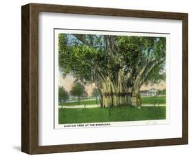 Key West, Florida - Barracks Banyan Tree Scene-Lantern Press-Framed Art Print