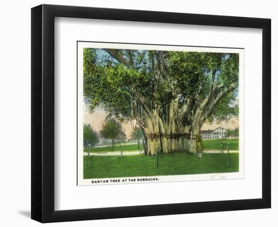 Key West, Florida - Barracks Banyan Tree Scene-Lantern Press-Framed Art Print