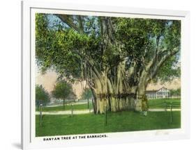 Key West, Florida - Barracks Banyan Tree Scene-Lantern Press-Framed Art Print