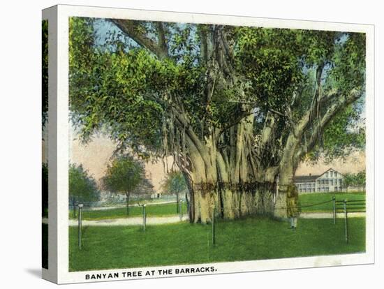 Key West, Florida - Barracks Banyan Tree Scene-Lantern Press-Stretched Canvas