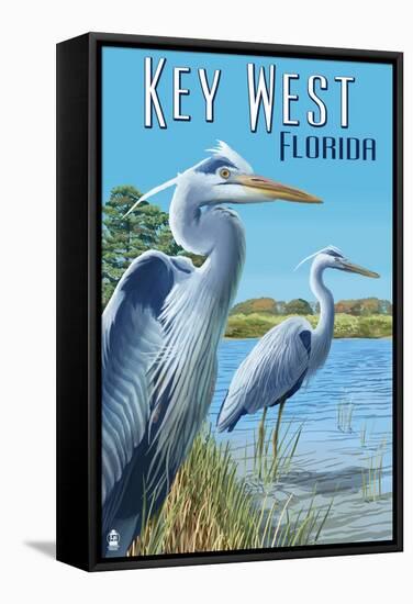 Key West, Florida - Blue Heron-Lantern Press-Framed Stretched Canvas