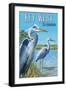 Key West, Florida - Blue Heron-Lantern Press-Framed Art Print