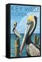Key West, Florida - Brown Pelican-Lantern Press-Framed Stretched Canvas